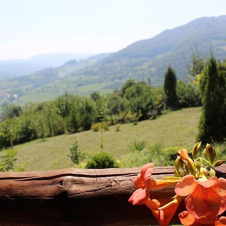 Visoko Gorani Cottage المظهر الخارجي الصورة