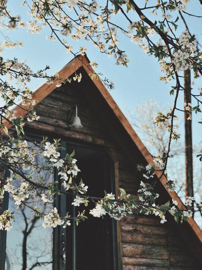 Visoko Gorani Cottage المظهر الخارجي الصورة