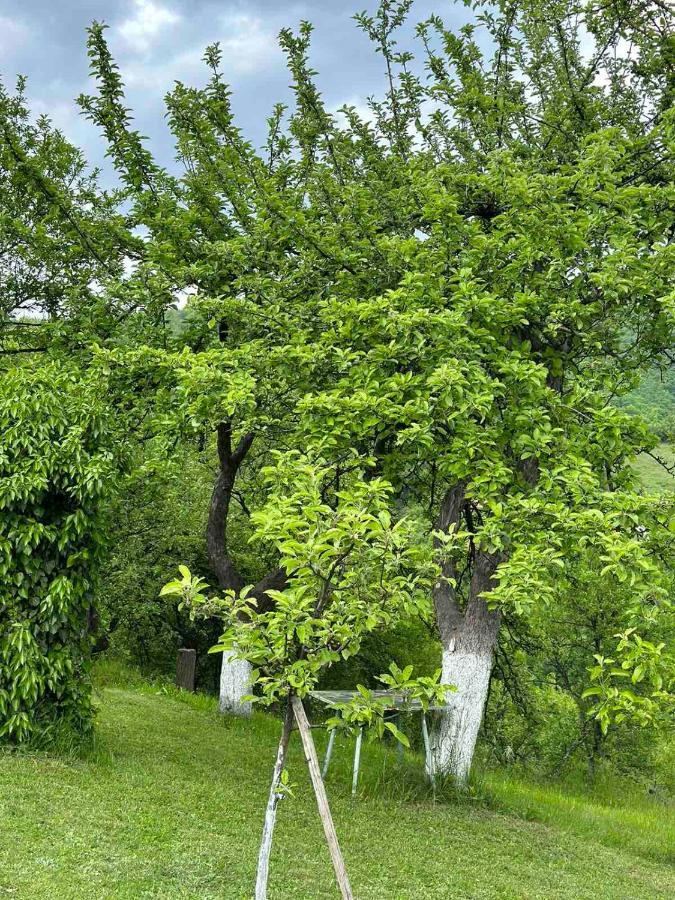 Visoko Gorani Cottage المظهر الخارجي الصورة