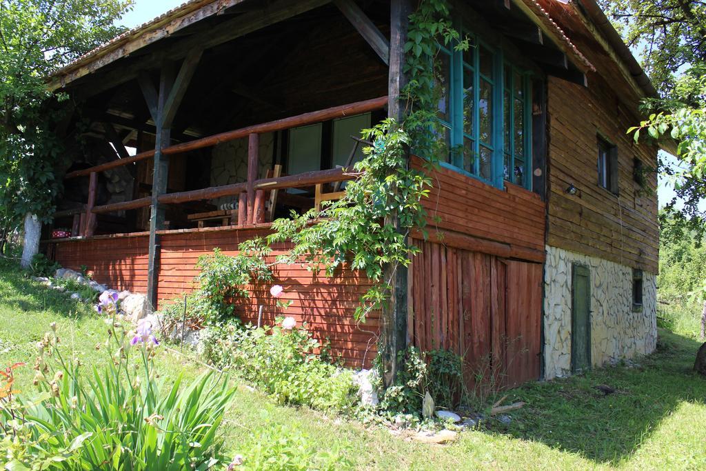 Visoko Gorani Cottage المظهر الخارجي الصورة