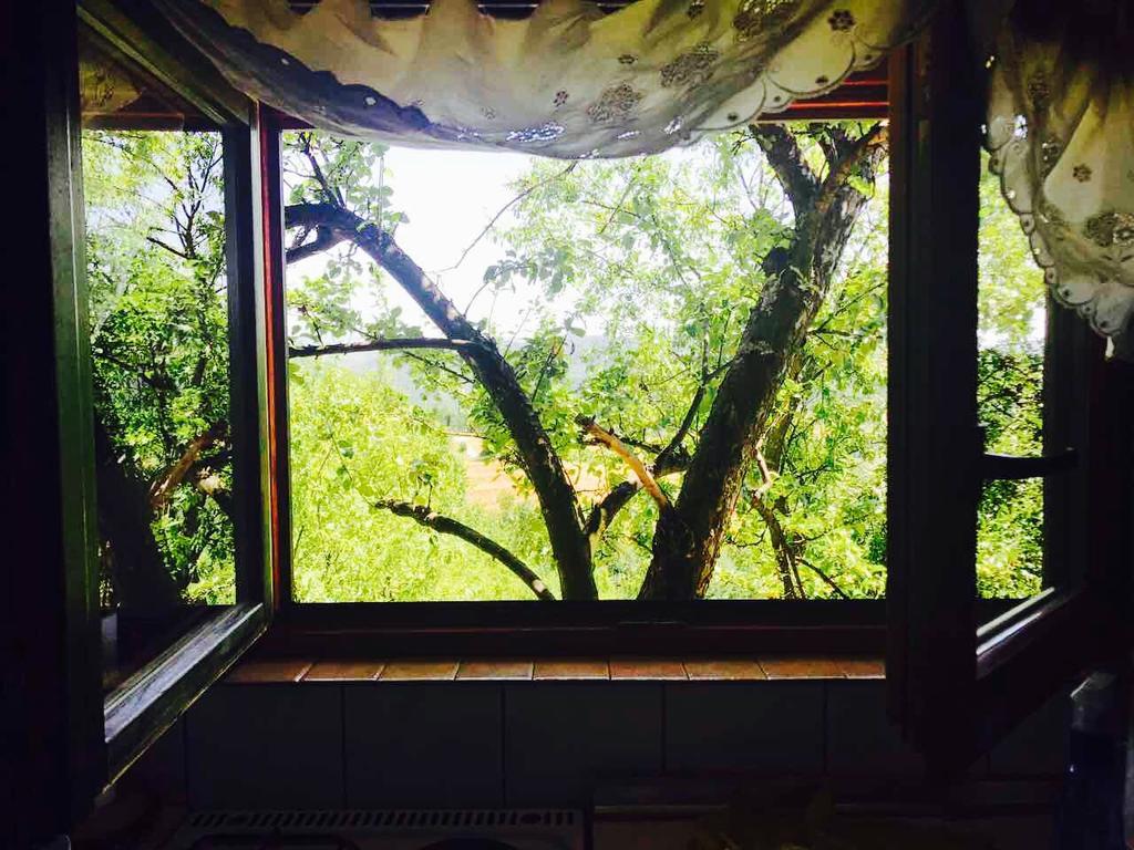 Visoko Gorani Cottage المظهر الخارجي الصورة