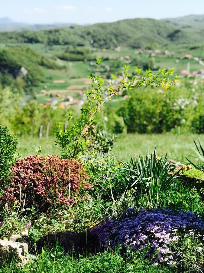 Visoko Gorani Cottage المظهر الخارجي الصورة